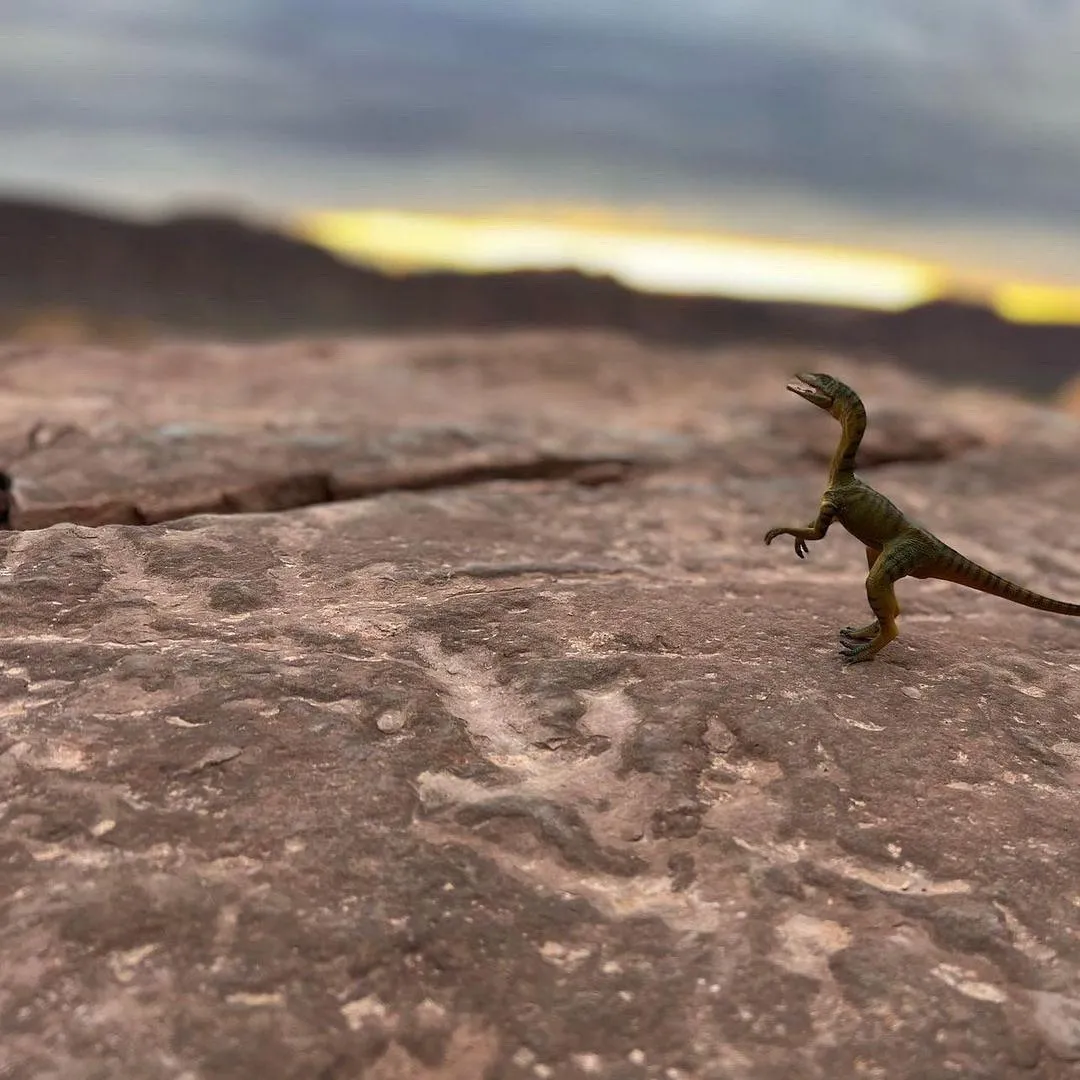 Small toy dinosaur figure perched on slickrock at sunset